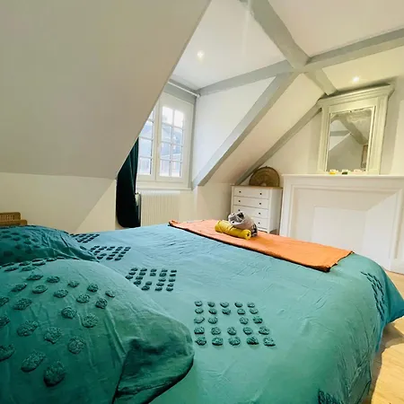 Hypercentre Et Vue Cathedrale - 412