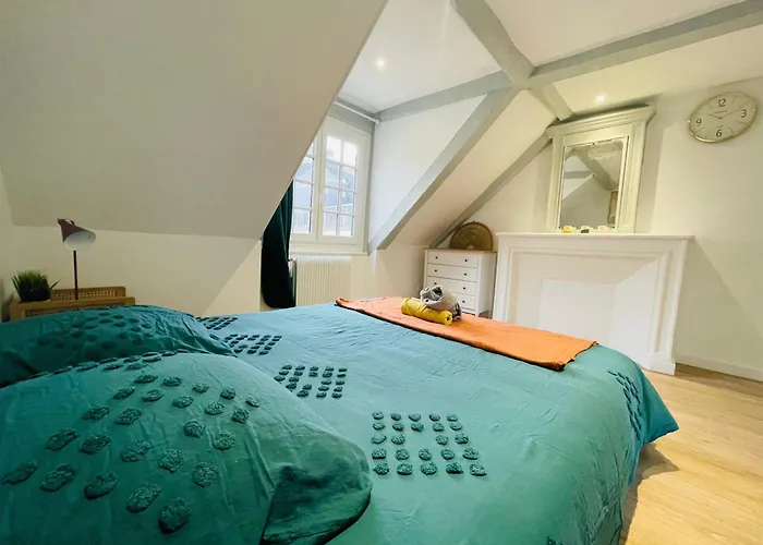 Hypercentre Et Vue Cathedrale - 412